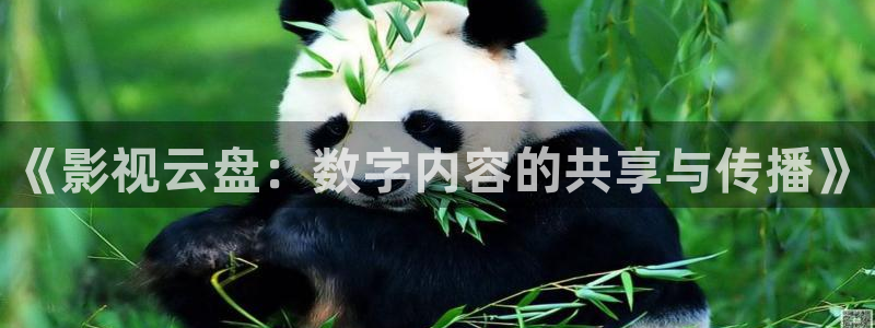 717影院理论午夜伦八戒