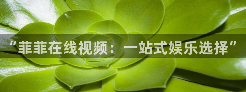 八戒·八戒电影免费播放